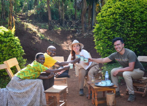 Coffee  Tour Experience in Sipi Falls