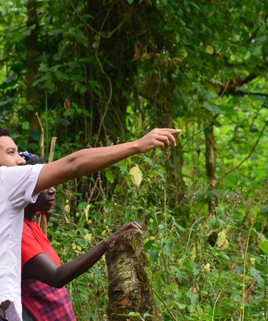 1 Day Mount Elgon Nature Walks