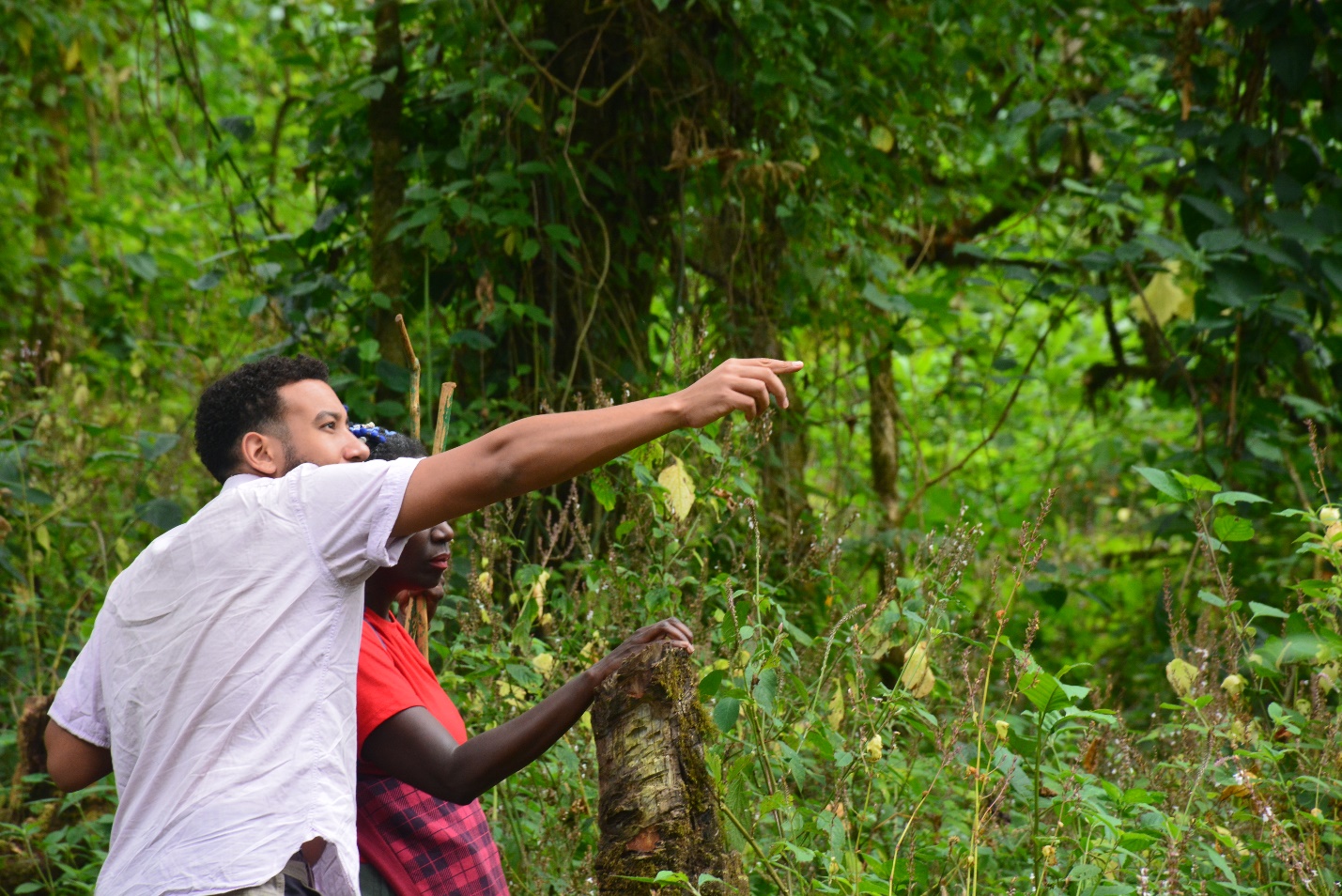 1 Day Mount Elgon Nature Walks