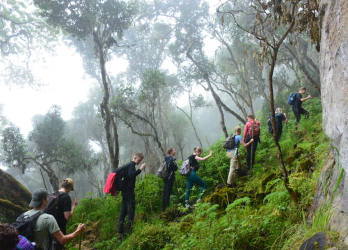 5-day Mount Elgon summit via Bushiyi Trail - Sipi Trail.