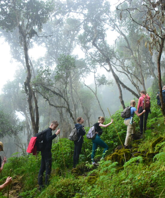 5-day Mount Elgon summit via Bushiyi Trail - Sipi Trail.