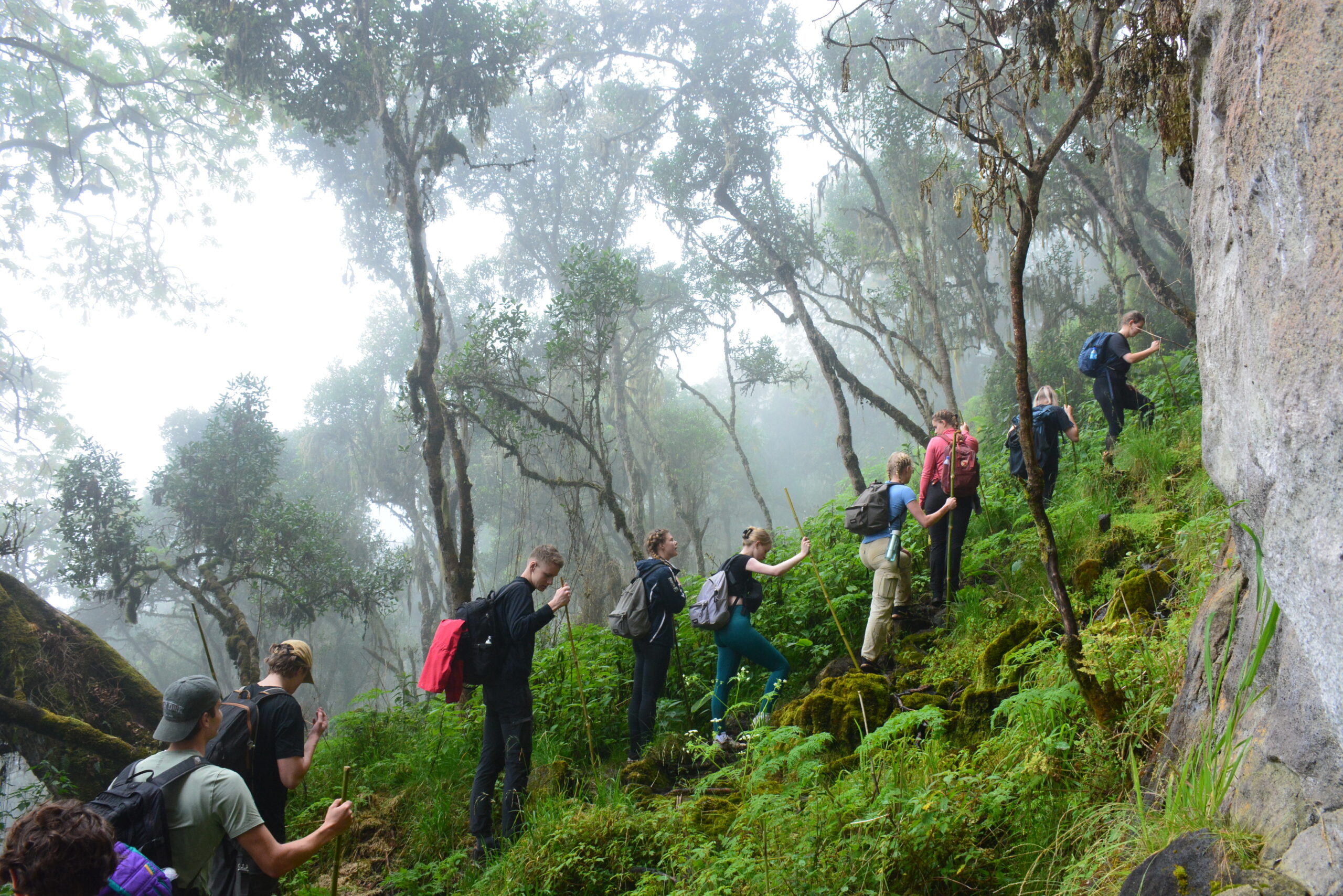 5-day Mount Elgon summit via Bushiyi Trail - Sipi Trail.