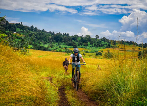 Sipi Biking Adventures