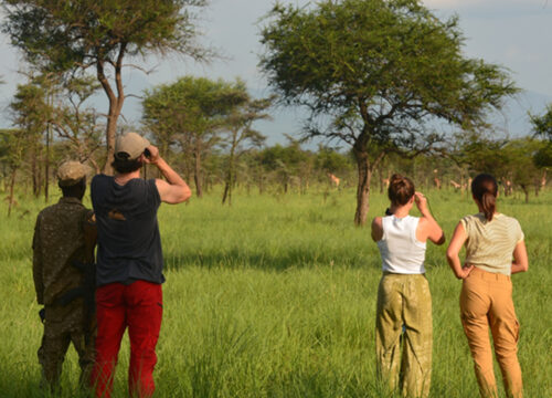 5 Days Sipi Falls And Pian-Upe National Park Safari Adventure Uganda