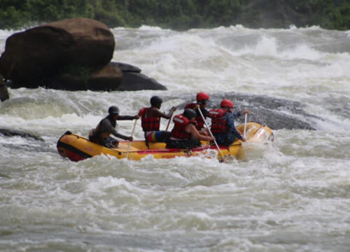 4 Days Jinja And Murchison Falls National Park